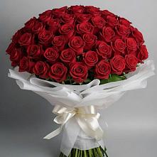 Букет 101 Красная роза Блэк Мэджик в Хотьково