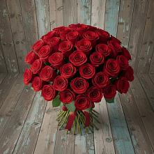 Букет 55 Красных роз Фридом #REPLACE_PRED# Хотьково