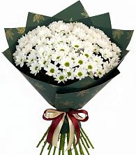 Букет цветов из:  Хризантемы #REPLACE_PRED# Хотьково