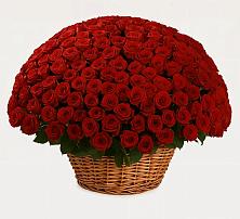 Премиум букет из: Розы #REPLACE_PRED# Хотьково