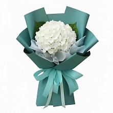 Букет цветов из:  Гортензия #REPLACE_PRED# Хотьково